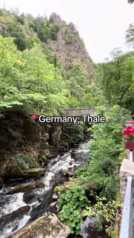 #germany#harz#thale#nature#Hiking#f#foryoupage❤️❤️#fyp#fürdich#reisen#travel#fairytail#fantasy 