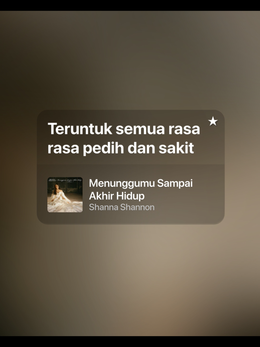 Menunggumu sampai akhir hidup #menunggumusampaiakhirhidup #shannashannon #lyrics #liriklagu #spotify #fyp #music 