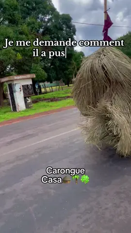#casamance🌿🍀🍀 #pourtoi #casamance #culture #diola #senegalaise_tik_tok #pourtoipage #senegal🇸🇳 #me @Casa🛖🌴🍀Thiosano #badiana @Simpétin @Sylo_Verte_Casa🇭🇹🇸🇳 @Did Power.07🇸🇳 @Blouf Média 