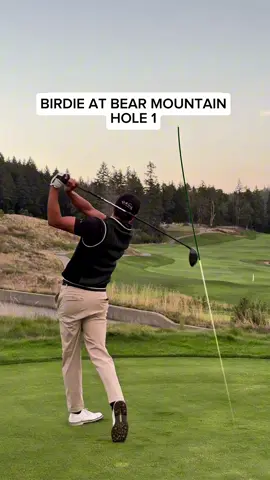 🐻⛰️⛳️ Stress free birdie 4 at bear mountain #golf 
