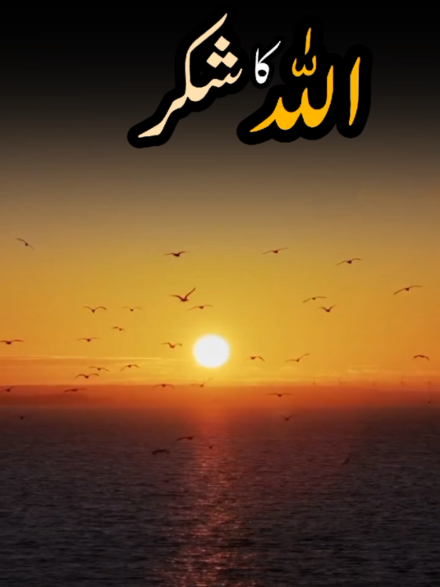 Allah ka Shukar 🥰 #foru #foryoupage❤️❤️ #fyp #trendingvideos #viralvideos #inshot #capcut_edit #islamic_video #islamic #Allah #motivation #allahuakbar 