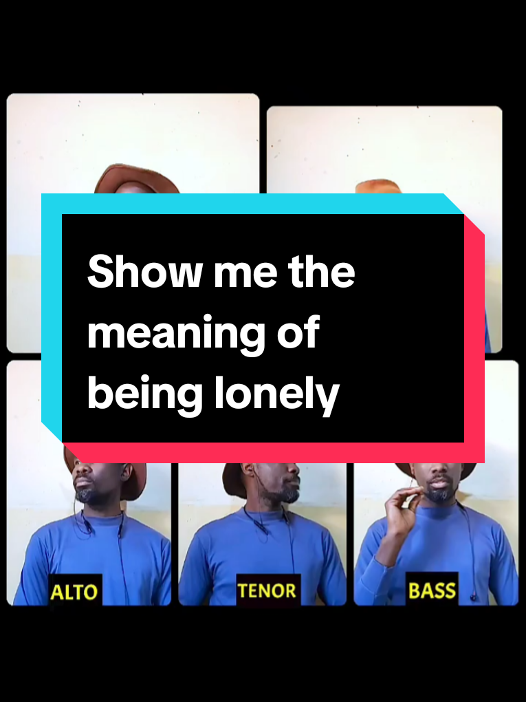 Show me the meaning of being lonely,  by Backstreet Boys - Accapella Cover 