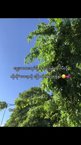 ပြောလိုက်တော့နော်😭#fypシ゚viral🖤tiktok #shoon #ib_crd #crdစာသား #koko #fyppppppppppppppppppppppp #fypシ゚viral #fypppppppppppppp #foryouofficialpage #စာတို☯ #moots? #စာတို #