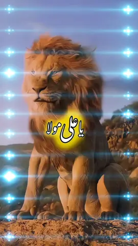Aliع MOULA 🙌🙏#foryou #foryoupage #duzzzz4k #4k #videos #foryourpagetiktok 