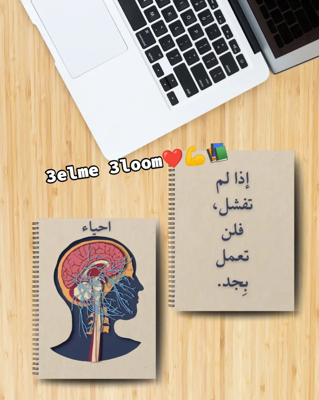 اول خطوات الاول على الجمهورية❤️💪📚#focus #notes #like #fyp #viral 