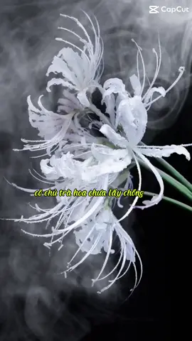 “Cô chủ trà hoa chưa lấy ck…”