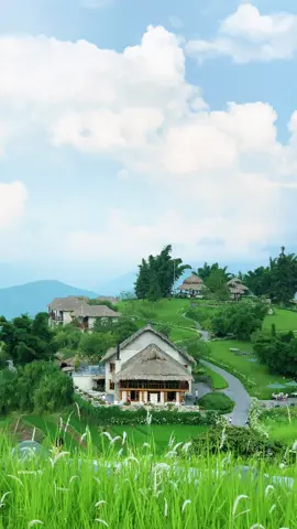 Sapa mùa này thật đẹp #sapa #topasecolodge #travel #cafesapa #homestaysapa #reviewsapa #binhyen #chill #canhdepthiennhien #xehetxang93 