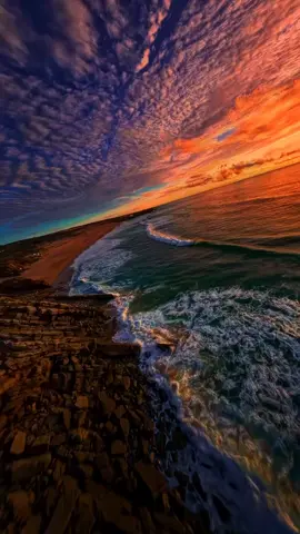 #nature #راحة_نفسية  #حكمة_اليوم  وعارٌ على هيئة ذكر ما أقبح أن يُولد الإنسان بلا أصلٍ ولا نسبٍ ولا شرف. فالمصيبة ليست في الفقر، ولا في العجز، ولا حتى في الجهل، وإنما في سقوط المروءة واندثار الشهامة. ذلك أنَّ الرجل الحقيقي لا يُقاس بما يملكه من مال، ولا بما يتشدّق به من أقوال، وإنما بما يحمله في قلبه من كرامة، وفي جوهره من شرف، وفي مواقفه من رجولة. أما ذاك المسخ الذي وُلِد من سلالةٍ مجهولة لا يعرف لها تاريخٌ ولا يشفع لها أصل، وعاش حياته يتسكّع بين الطرقات والأزقة، يقتات على فتات الآخرين، ويتشبث بأوهام الرجولة، فقد شاء القدر أن تعرج على دربه امرأة عظيمة، سبقته بأزمان ضوئية، تتسلق قمم المجد وتطاول السماء، بينما هو يتخبط بين حانات القاع ودكاكين الرذيلة. دخل حياتها متقمصًا دور الرجل، متخفيًا خلف قناعٍ رخيصٍ من الادّعاء والافتراء. سرق أموالها، خان أمانتها، واعتاش على مجدها، حتى إذا انكشفت حقيقته المُزرية، نبذته كما تُنبذ الحثالة من بين الطيب. طُرد من بيتها وحياتها كالكلب الأجرب، فحاول بعدها الابتزاز، ثم النصب، فلما فشل في كليهما، لم يتبقَّ له سوى لسان طويل يلوك سيرتها في المجالس الرخيصة.ودعوات  قضائية كيدية وكاذبة حالما ان ياخذ منها بعض القروش! وإنصافًا للحق، ولئلا يُقال إننا افترينا عليه، فإن شهادة إفلاسه الرسميّة منشورة على العلن، شاهدة على فقرٍ مدقع، وعجزٍ أزلي. لم يكن يومًا يملك فلسًا، ولن يُكتب له أن يمتلك شيئًا نهاية هولاء هم من  تلفظهم الأزقّة، أو يُلقى بهم خلف قضبان السجون… لأن ربّ العدل يمهل ولا يهمل. وما أشبه حاله بحال العربيد الصعلوك المتطفل الذي يتسلق على ظهور العظماء، ظنًا أن ذكر اسمه بجوارهم سيرفع من قدره، وما علم أن ذكره في حضرتهم كذكر القاذورات في المجالس الطاهرة. وتبقى النساء العظيمات في علوٍّ ورفعة وسمو، لا ينحنين لعابرٍ وضيع، ولا يتأثرن بنباح مسعور. فالعظمة لا تعترف بالسفهاء، ولا تُعير القمامة اهتمامًا. ختامًا:  أشباه الرجال، فهم خدم المجالس، وسُقّاط الطرقات، وعار على هيئة بشر. صوتُ المرأة القوية… قلمٌ لا يُهادن، وحقٌ لا يُساوَم. لن نُجامل السقوط، ولن نُعطي الكلاب الضالة أكثر من حجمها. #نساء_عظيمات #فضح_أشباه_الرجال #فضايح_المجالس #هيوستن #تكساس #الشعب_الصيني #ما_له_حل #شهادة_إفلاس #النفايات_البشرية #قاع_المجتمع #مجالس_الرذيلة #الشعب_الصيني_ماله_حل