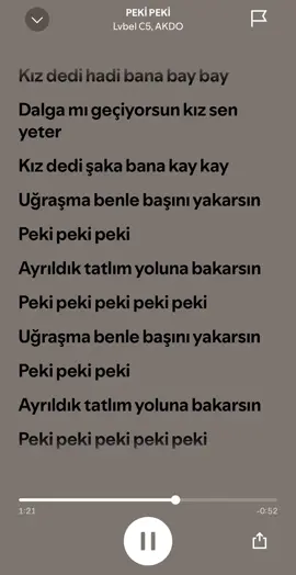Lvbel C5&Akdo-Peki peki #lvbelc5 #akdo #pekipeki #spotify #music #şarkı 