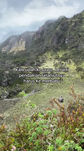 p merbabu? #4u #fyp #lawumountain #lawu3265mdpl 