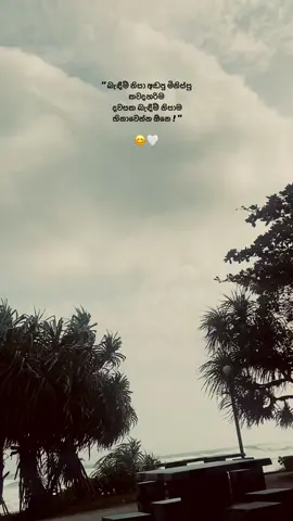 😊🤍 #100kviews #🤍 #foryoupage #flypシ #viral #viraltiktok #trending #1mlike #100kviews✔️tiktok🌎🔥 #reposted #sinhalaquotes #eveningtime #beachtime  @Sasiii 💋! @𝓓__𝔃𝓪𝓪𝓷...🤍 @pasiya 👣👀 @GG|nethsara @🧿>S_H_A_N<🧿 @APX  αℓσɳҽ❤️‍🔥 @@chathu officeyal @BadBunny Gaming @IMANSE🇳🇿 @Ishara__rajapaksha🇯🇵 @Kavi Sulo @manori1991 @Nalan Akiii - GG_ZYCO_TT 