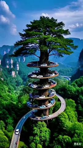 #beautiful #nature #Love #fyp #foryoupage 