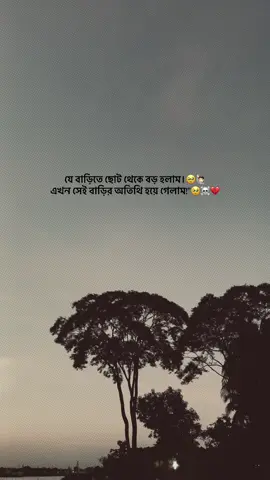 #foryou #foryoupage #bdtiktokofficial🇧🇩 #fyp @TikTok Bangladesh @tiktok creators @TikTok 