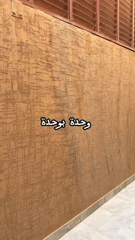 #fyp#foryou#foryoupage#viral #تنظيف جدران الحوش