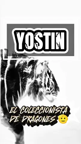 @Yostin ツ 🫡 🐉