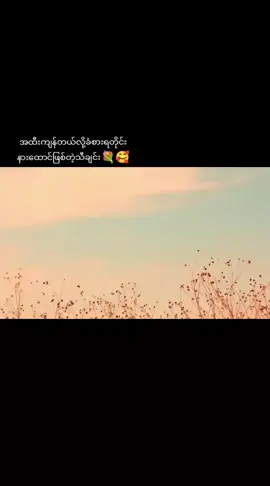 song name- 明天你好✨ #Chines #chinessong #motivation #情感 #foryou #forupage #မှားတာရှိရင်ခွင့်လွှတ်ပါ☺☺ #ChenMingZhi #မရှိတဲ့viwerတွေရှယ်ကျ😭 