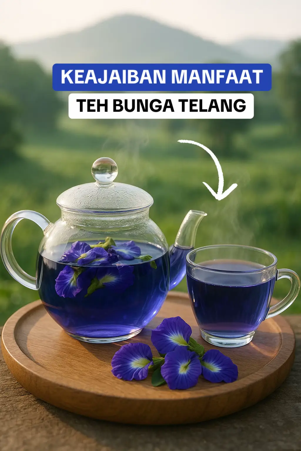 Bunga telang (Clitoria ternatea) dikenal memiliki berbagai manfaat kesehatan karena kandungan antioksidan, flavonoid, dan senyawa alami lainnya. Berikut adalah beberapa manfaat bunga telang bagi tubuh: ✅ 1. Antioksidan kuat Bunga telang mengandung anthocyanin (khususnya ternatin) yang dapat membantu menangkal radikal bebas dan mengurangi stres oksidatif. ✅ 2. Meningkatkan fungsi otak Bunga telang dipercaya membantu meningkatkan daya ingat, fokus, dan kinerja kognitif karena efeknya yang mirip nootropik. ✅ 3. Menyehatkan mata Kandungan proanthocyanidin membantu meningkatkan sirkulasi darah di pembuluh kapiler mata, yang dapat membantu menjaga kesehatan mata. ✅ 4. Menurunkan kecemasan dan stres Teh bunga telang memiliki efek menenangkan alami, membantu meredakan kecemasan ringan dan memperbaiki kualitas tidur. ✅ 5. Menjaga kesehatan kulit Antioksidan dalam bunga telang membantu mencegah penuaan dini dan menjaga elastisitas kulit. ✅ 6. Anti-inflamasi dan analgesik Dapat membantu mengurangi peradangan ringan dan nyeri karena sifat anti-inflamasi dan analgesiknya. ✅ 7. Menjaga kesehatan jantung Bunga telang membantu mengontrol tekanan darah dan kadar kolesterol, yang penting untuk kesehatan kardiovaskular. ✅ 8. Mendukung sistem pencernaan Bersifat diuretik ringan dan membantu memperlancar pencernaan serta detoksifikasi alami tubuh. Jika kamu ingin, saya juga bisa bantu buatkan infografis 9:16 tentang manfaat bunga telang.