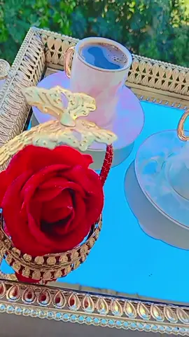 احلى فنجان قهوة مع بابي ومامي  ✨🤍👑