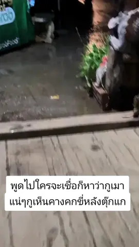 #นครพนมหวานเจี๊ยบ🚫🔥 #ช่างไฟฝึกหัด⚡👷 #ช่างไฟฟ้าติดต่อได้24ชั่วโมง  #ฝากกดติดตามกันด้วยนะครับทุกคน🥰🥰🥰 