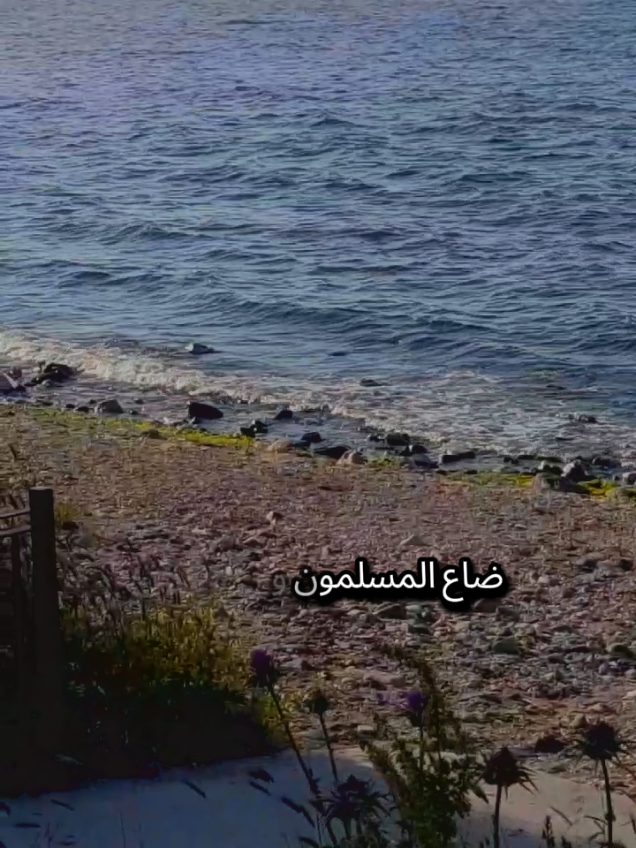 ضاع المسلمون وباتوا ضلال وصار الحرام في عرفهم حلال وقارئ القرآن ما من سامع الله والشيطان في حبهم دلال بدلال #تركيا #اسطنبول #الغربة #مغترب #شعروقصايد 