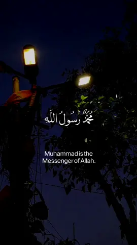 Surah Al-Fath beautiful recitation #Allah #zeealquran #daily #hadith #سورةالفتحح #ayatulkursi #foryou 