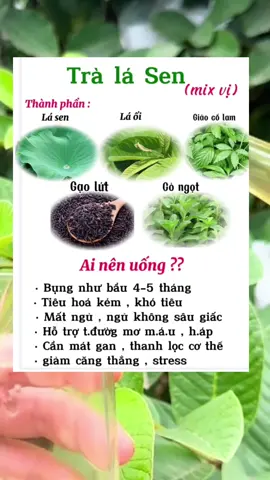 Trà lá sen mix vị - món quà sức khoẻ từ thiên nhien#tralasen #tea #ngungon #thanhloccothe 