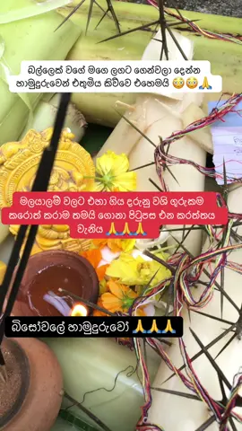 රණ්ඩු වෙවි හරි රැකගන්න උත්සහ කරපු බැදීම් හරි ශක්තිමත් පිංවත #ගුරුකම් #1millionaudition #viralvideo #creatorsearchinsights #trending #japan #korean 