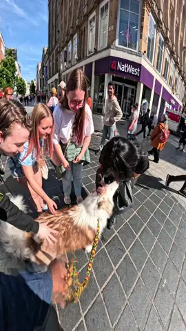 Interactions with my dog!!  #husky #viral #pets #fyp #doglover #famous #violasnow #fypp #fypppp 