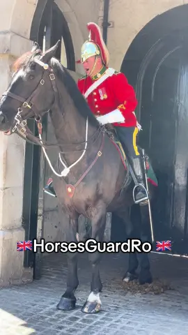 King’s Guard horse 🇬🇧🇬🇧