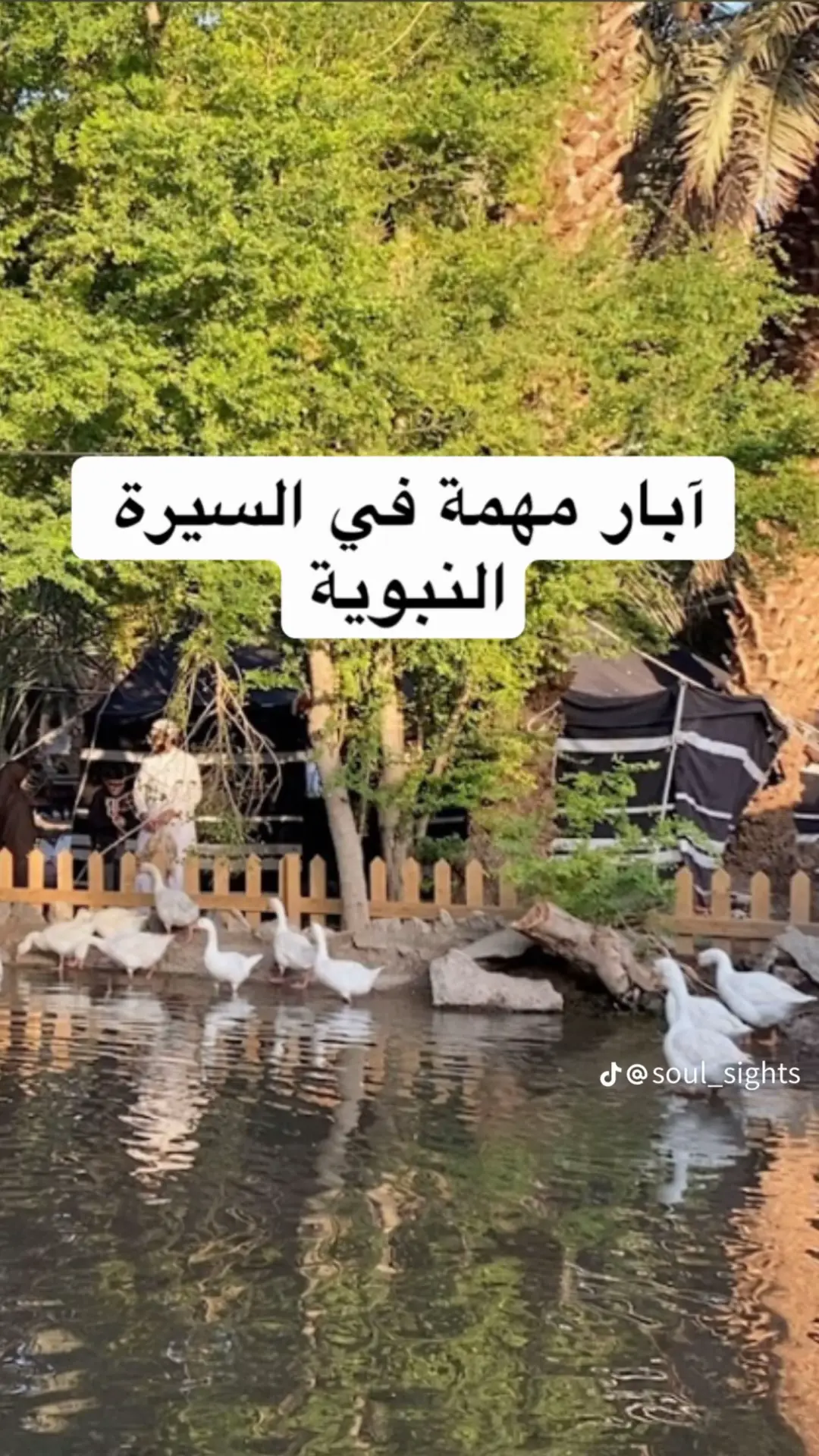 #بئر_غرس#المدينه_المنوره#اجمل_رحله#لازم_تزورها_بالمدينه