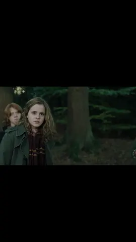 i'm not an owl either but sometimes i do think it'd be cool #harrypotter #hermionegranger #movierecommendations