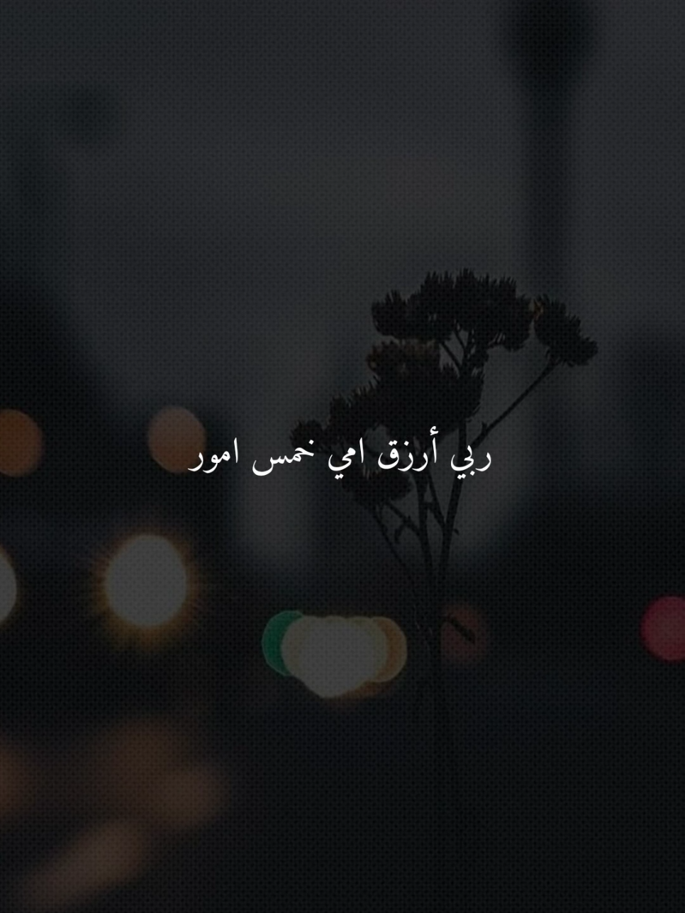 ربي أرزق امي خمس امور..🤎 #امي #اللهم_امين #ادعيه #ادعية_اسلامية_تريح_القلب #ادعيه_تريح_القلب 
