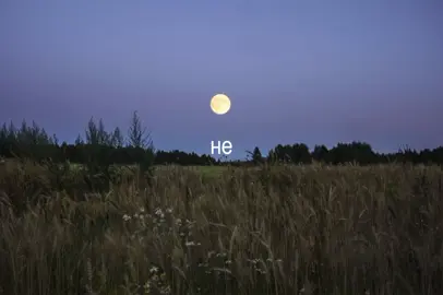 #CapCut #музика #music #недзвониланезаходила 