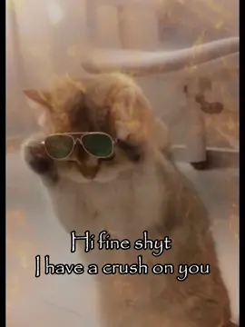 Hi fine shyt...#rizz #fyp #relatable #catsoftiktok #vro #couple #trending #catmeme #joke #jokes #funny #Love #cattok #Relationship 