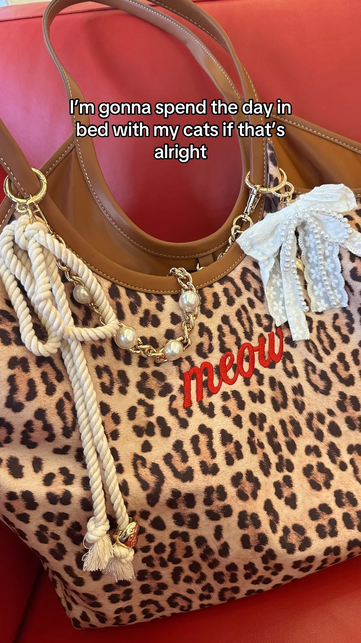#taylorswift #bedrot #catsoftiktok 