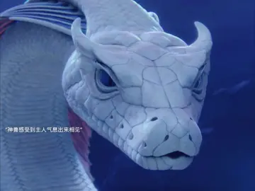 李青月明知道打不白九思，也拼了命的给神兽解除封印# 