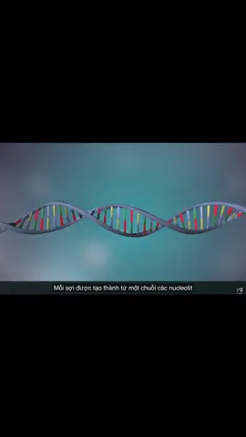 DNA Replication - Quá trình Nhân Đôi DNA #sinh12 #sinhhoc #sinh #DNA #nhandoidna #tuduysinhhoc #xuhuong 
