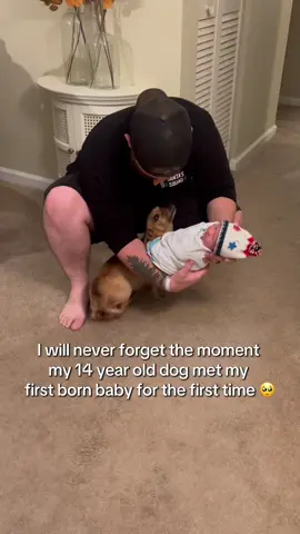 Such a sweet moment 🥺  #dog #newborn #dogandbaby #sweetmoments #fyp 