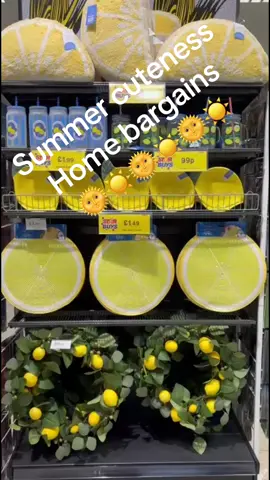 Everything you need for summer at Bentley bridge (just don’t ask for a fan 🤣!) #homebargains #homebargainsbentleybridge #Summer #picnic #aestheticvideos #lemon #fyp #garden #parkdays #kidstiktok #daysout #cheap 