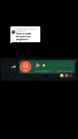 Respuesta a @j_gonzalez.14  Tamo activooo🔥. Préndelo Pingüino neutro.  #paratiiiiiiiiiiiiiiiiiiiiiiiiiiiiiii #audioswhatsapp #audiosvirales #😂😂😂 #audios 