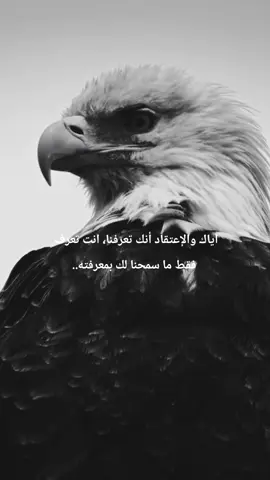#fyp 