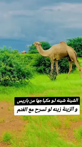🌺بسيب العلم مابقراء ماشي بسير مع جغلا🌺 #رزيقات_تراب_الهين_الجنينة_دارفور #جنديون🦅🔥❤️اولاد🔥✊️✊️ابوك🔥✌️🐅🔥 #الجنينه_غرب_دارفور_داراندوكة #ترابين_ولـنا_فـي_قـمة_الـمجد_رايـات 