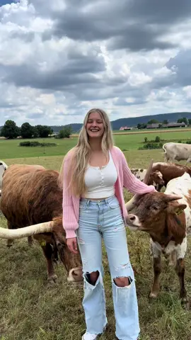 👋 Willkommen zu meinem neuen Format Muuuusstewissen 📚 Hier erkläre ich euch kurz und verständlich verschiedene Themen rund um Kühe, Rinder und Kälber. Direkt aus der Praxis. 🐄 In der ersten Folge geht’s um Mutterkuhhaltung 🍼 Das Kalb bleibt bei der Mutter und trinkt ihre Milch. Die Kühe werden nicht gemolken. 🌿 Die Tiere leben meist das ganze Jahr draußen in festen Herden. 🔄 Nach 6 bis 9 Monaten werden die Kälber abgesetzt, wenn sie keine Milch mehr trinken und von der Mutter abgestoßen werden. 👥 Dann kommen sie in eigene Gruppen, je nach Alter und Geschlecht. 🥩 Die Mutterkuhhaltung dient der Fleischproduktion mit Fokus auf natürlicher Aufzucht und Tierwohl. ✅ Mutterkuhhaltung bedeutet naturnahe Aufzucht, stabile Herdenstrukturen und ein respektvoller Umgang mit dem Tier. #Muuuusstewissen #Mutterkuhhaltung #Kuh #Kalb #Rinder #Tierwohl #Weidehaltung #Absetzer #Landwirtschaft #Rinderwissen #Fleischproduktion