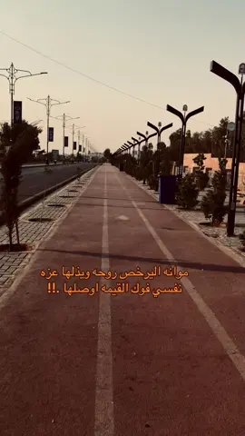 #شعراء_وذواقين_الشعر_الشعبي🎸 #fyp 