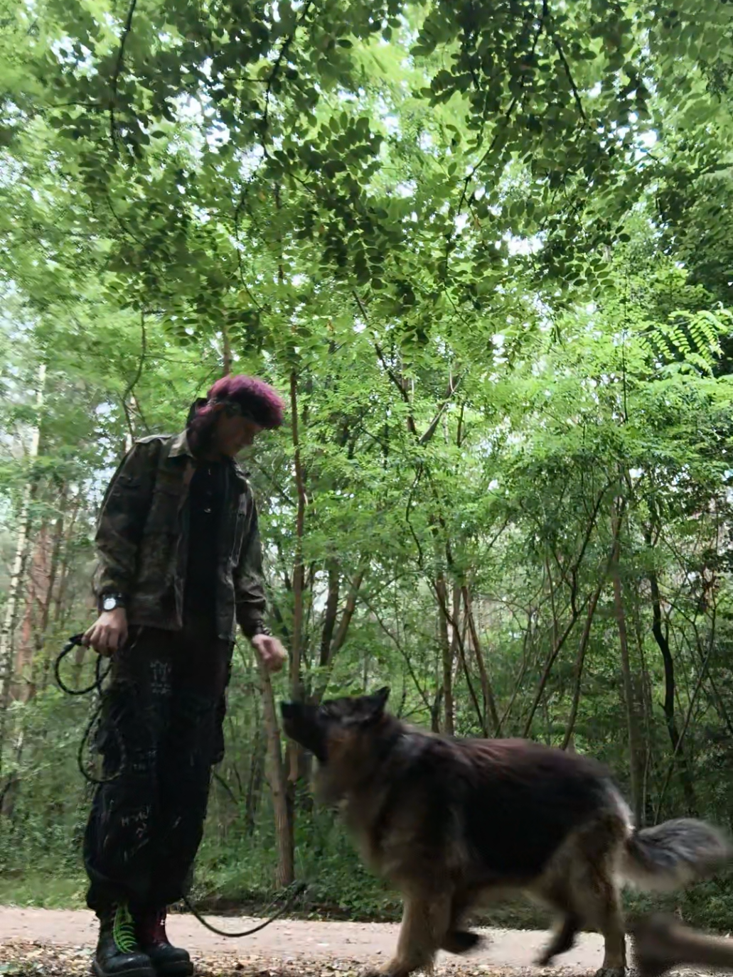 animal liberation human Liberation #forest #dog #dc #141 #161 #punksnotdead #ecoanarchism #fitcheck #punk 