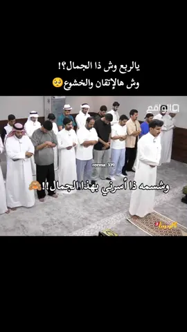 كمية راحه ماهي طبيعي🥺🥺🥺  ماشاء الله تبارك الرحمن  ‎#كاريزما2 #viral #fypシ #fffffffffffyyyyyyyyyyypppppppppppp #froyou #video #اكسبلورexplore #pov 