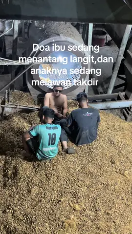 #pabriksawit #kulipabrik #fypシ #sawit 