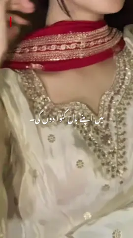 🌸💜#javeria_shah__ #novel #urduadab #urduwriter #urdunovels #explorepage #BookTok #umeraahmed #nemrahahmed #peerekamil #aabehayat #salarsikander #salarimama #imamahashim #trending #trendingreels #viral #viralreels #instagood #instareels #viralreels #instagram #explore #trendingreels #viralreels #viral 