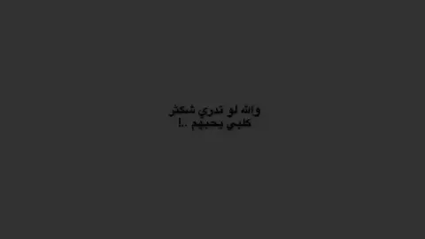 يححبهم..!  #تصميمي #تصاميم #تيمالامام_علي_عليه_السلام #اكسبلوررر #ستوريات #حيدرَ، #viral 