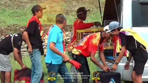 semoga tetap konsisten dan kompak selalu untuk kita🫡 #luweslampung #lampung #merpatilovers #merpatikolong #fyppppppppppppppppppppppp #hobimerpati🕊️🕊️ #fypシ゚viral #kenwood #fyp #CapCut 